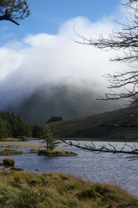 On the field trip to Glantanesseig, Dingle Peninsula