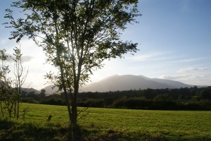 Killarney National Park from Muckross